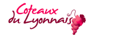 http://www.lyon-saveurs.fr/wp-content/uploads/2010/11/Capture-d%E2%80%99%C3%A9cran-2010-11-26-%C3%A0-10.24.16.png